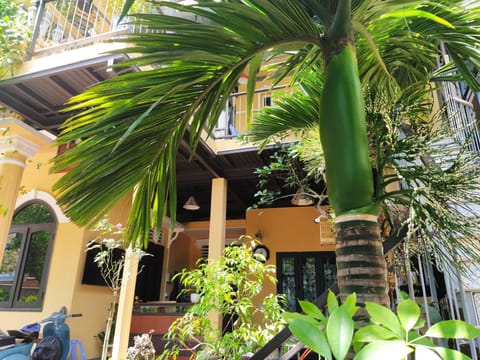 Property building, Patio, Day, Garden, View (from property/room), Balcony/Terrace, Garden view