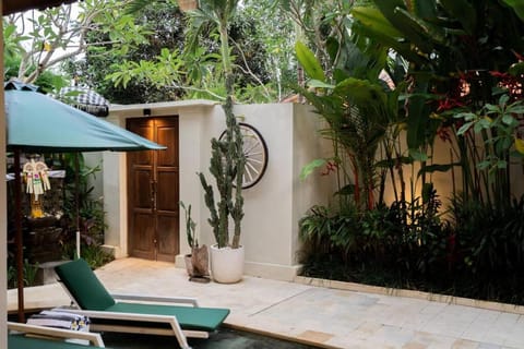 Patio, Garden, Garden view, sunbed