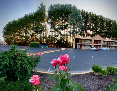 Property building, Natural landscape, Garden