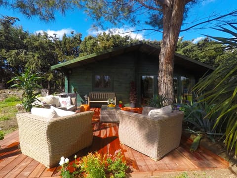 Patio, Seating area, Garden view