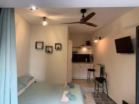 Bed, TV and multimedia, Photo of the whole room, fireplace