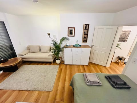Bed, Living room, Photo of the whole room, Seating area, Bedroom