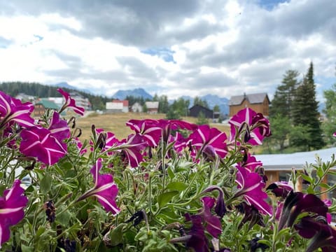 Apartment Zabljak Center Apartment in Montenegro