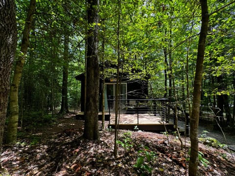 Property building, Natural landscape