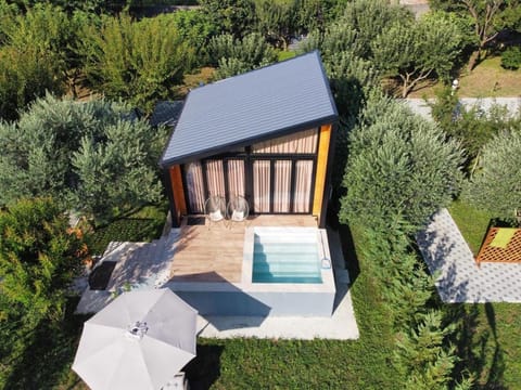 Property building, Natural landscape, Swimming pool, sunbed