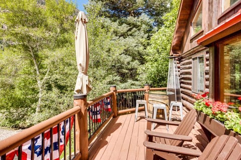 Cozy Ouray Home, Steps to Riverwalk Trail! House in Ouray