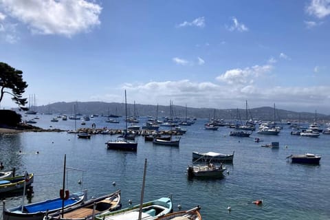 Studio balcon, centre ville, proximité plages, commerces, restaurants, musées... Apartment in Antibes