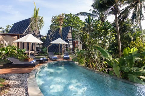 Natural landscape, Garden, Swimming pool