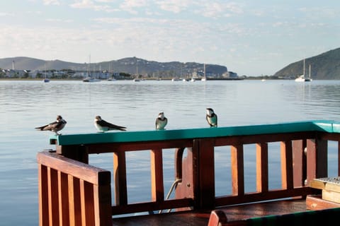 Natural landscape, Lake view, River view
