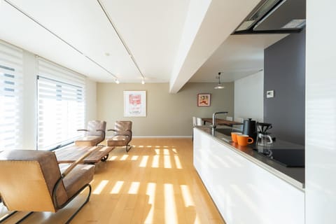 Kitchen or kitchenette, Living room, Dining area, stove