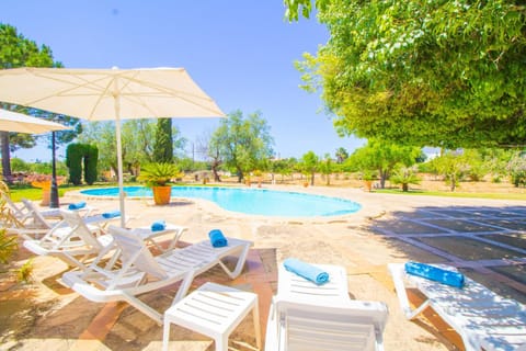 Garden, Swimming pool, sunbed