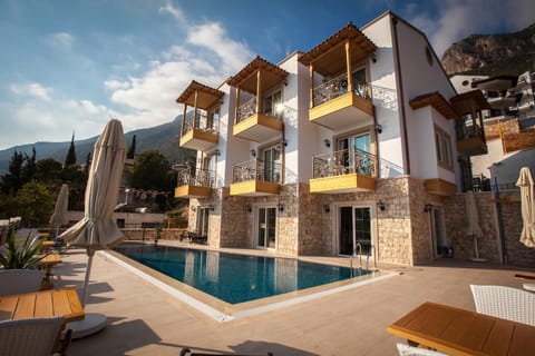 Bird's eye view, Garden, Swimming pool