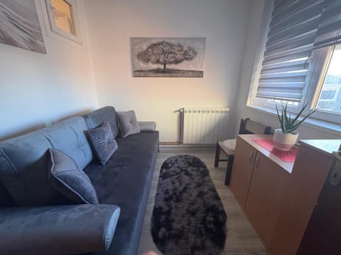 Apartman Slavica Apartment in Serbia