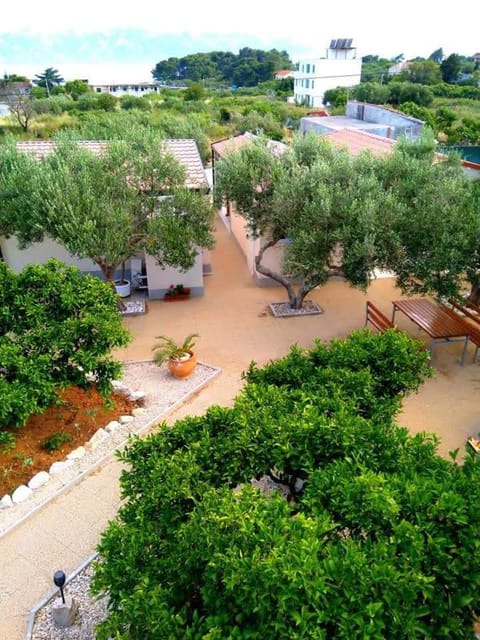 Day, Garden