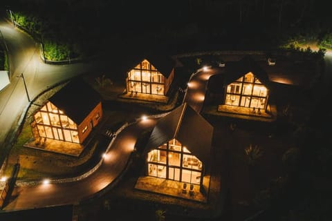 Night, Bird's eye view