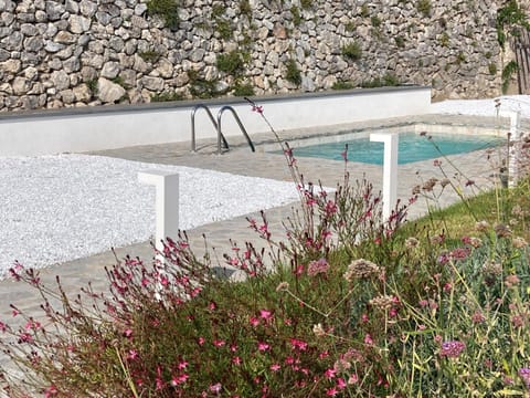 Spring, Garden, Swimming pool