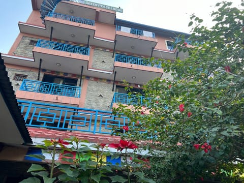 Property building, Garden, Balcony/Terrace