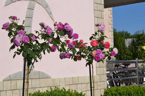 Villa Baldi -Apartmani Danny Apartment in Istria County