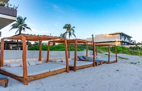 Beach, Sunrise, sunbed