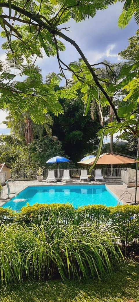 Garden, Swimming pool, sunbed
