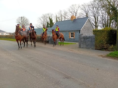 Fenniscourt Cottage House in County Kilkenny
