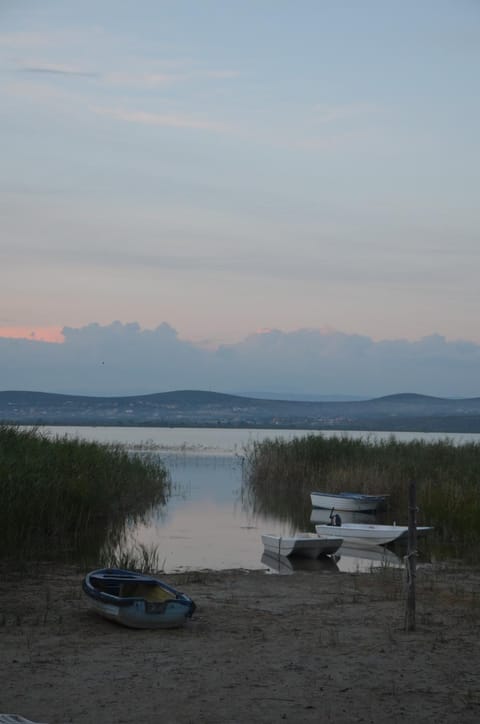 Natural landscape, Fishing