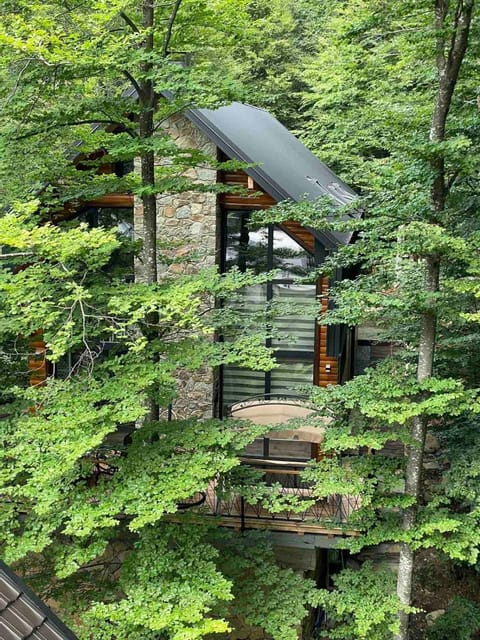 Property building, Spring, Garden view