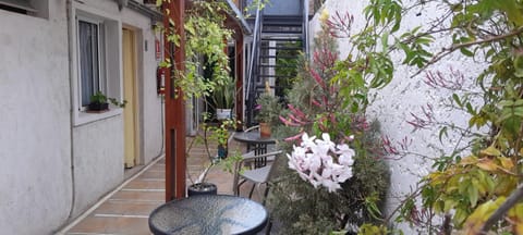 Patio, Spring, Garden view