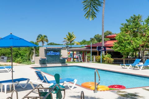 Day, Pool view, Swimming pool, sunbed