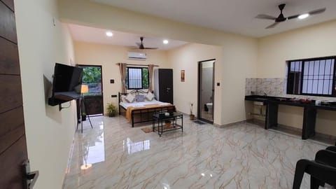 Bed, TV and multimedia, Kitchen or kitchenette, Living room, Photo of the whole room, Seating area, Bedroom