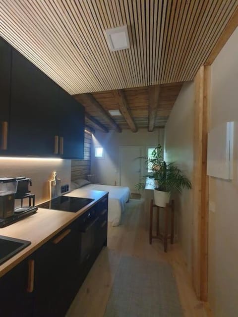 Pieni asunto maalla navettarakennuksessa. Apartment in Finland