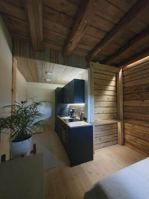 Pieni asunto maalla navettarakennuksessa. Apartment in Finland