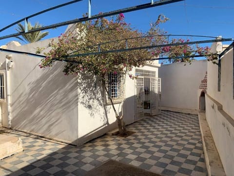 Patio, Day