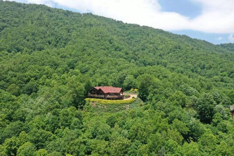 LUXURIOUS TN Mtn Lodge- Sleeps 22+, Hiking & Lake House in Watauga Lake
