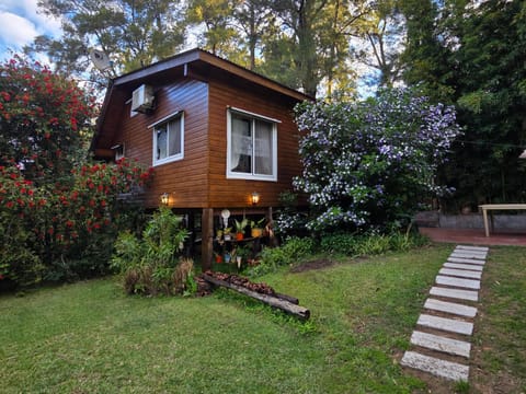 Property building, Spring, Off site, Garden, Garden view, Sunset