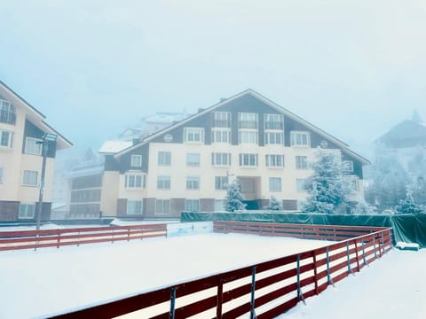 Property building, Facade/entrance, Winter, Skiing