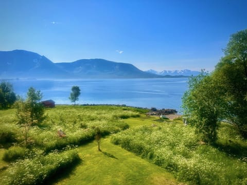 Balcony/Terrace, Balcony/Terrace