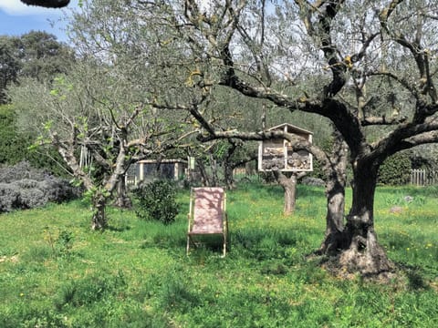 Maison familiale avec piscine et grand jardin House in Provence-Alpes-Côte d'Azur