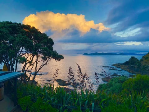 Garden, Beach