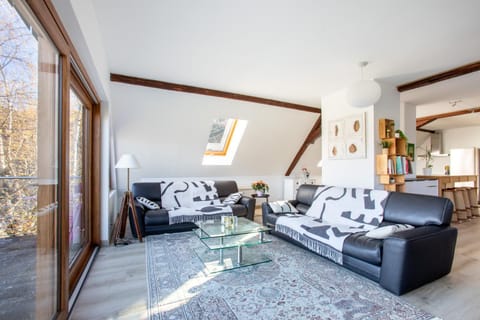 Le gîte de la Grande Vallée - Vue exceptionnelle Apartment in Orbey