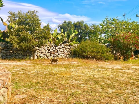 Spring, Natural landscape