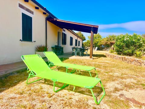 Spring, Day, Garden, sunbed