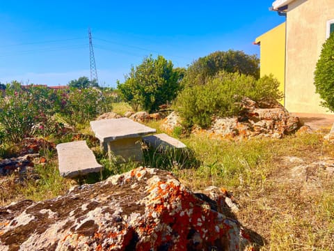 Natural landscape, Garden