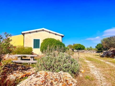 Spring, Natural landscape, Garden, Garden view