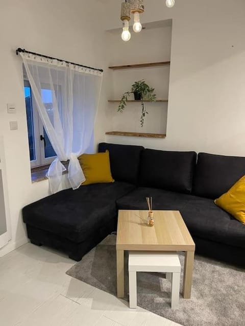 Mont Aiguille - Proche gare Chateaucreux Apartment in Saint-Étienne