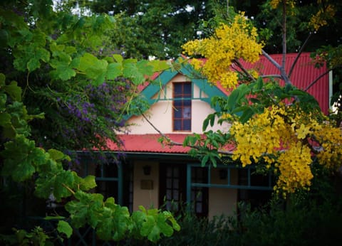 Property building, Garden