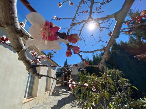 Cyclolodge Villa in Marina Baixa