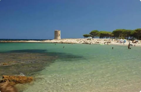 Nearby landmark, Beach