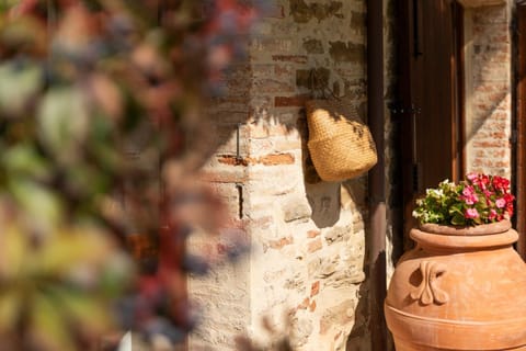 Day, Garden, Cycling, Cycling, Garden view, Swimming pool