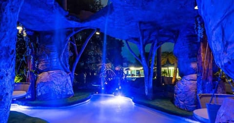 Night, People, Natural landscape, Garden, Hot Tub, Solarium, Garden view, Pool view, Swimming pool, group of guests, wedding